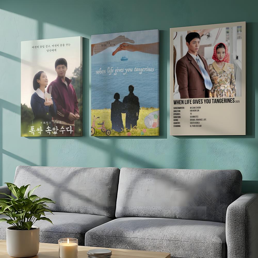 Korean TV When Life Gives You  - đánh giá và giá Korean Arts And Lifestyle